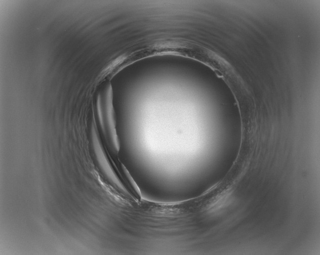 X0000082170833200701191305