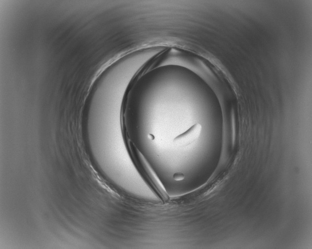 X0000082170834200701191305