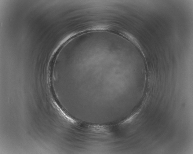 X0000082170835200701191305