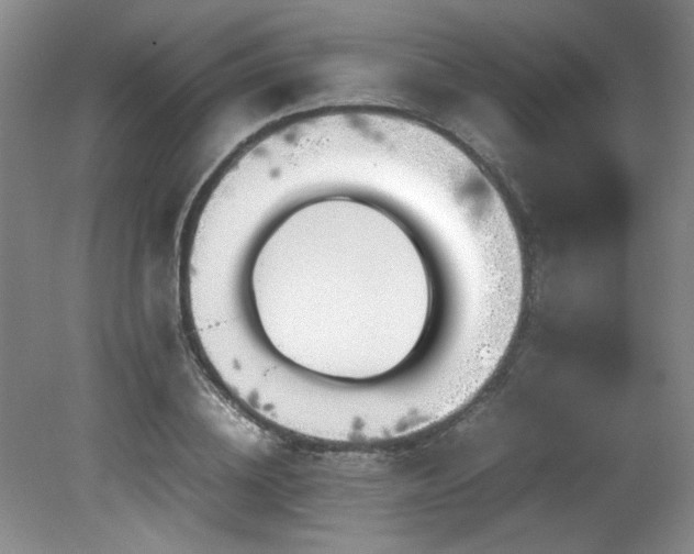 X0000082170836200701191305