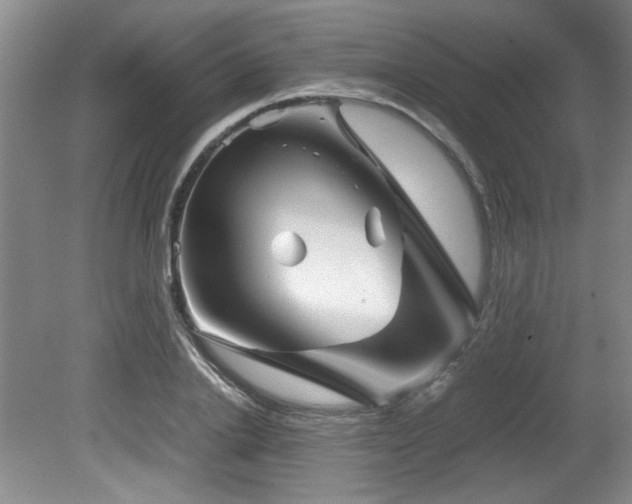 X0000082170838200701191305