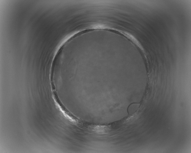 X0000082170839200701191305