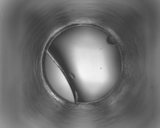 X0000082170840200701191305