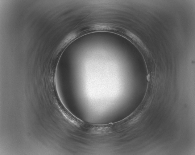 X0000082170841200701191305