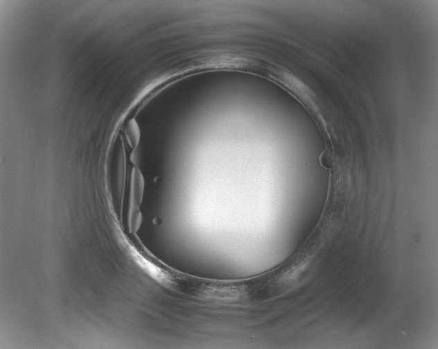 X0000082170843200701191305