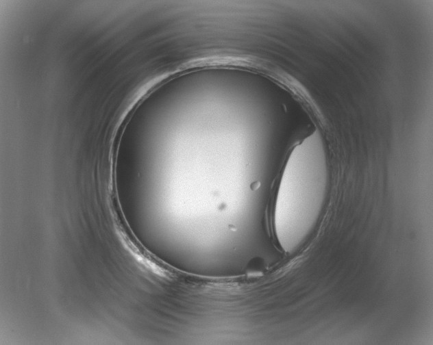 X0000082170844200701191305