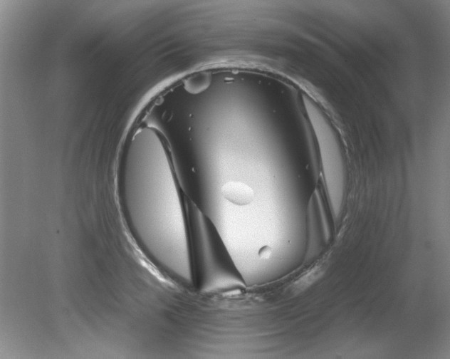 X0000082170846200701191305