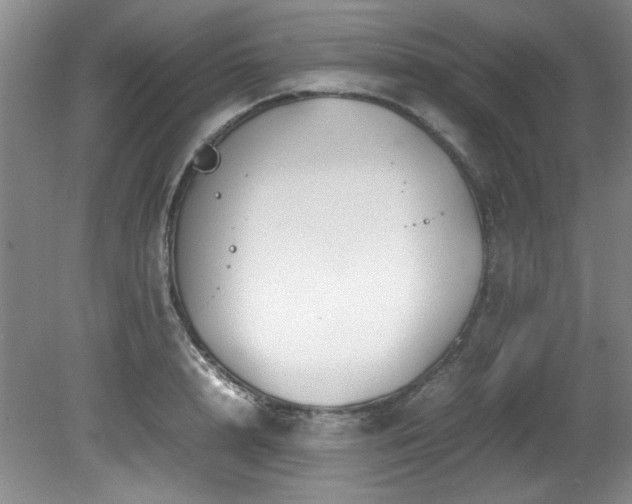 X0000082170848200701191305