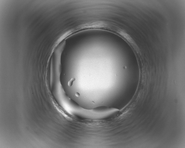 X0000082170850200701191305