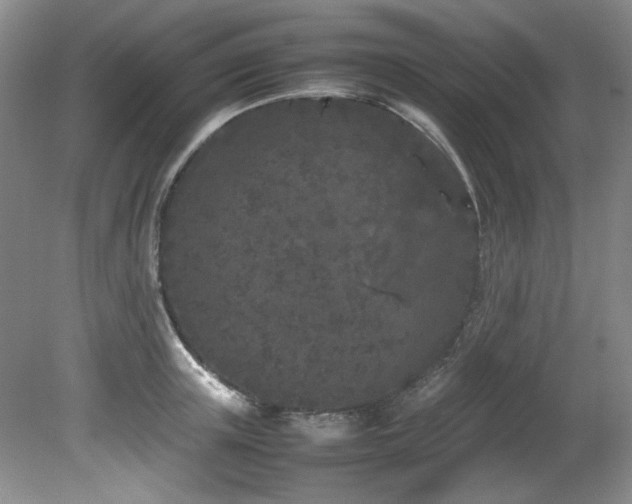 X0000082170851200701191305