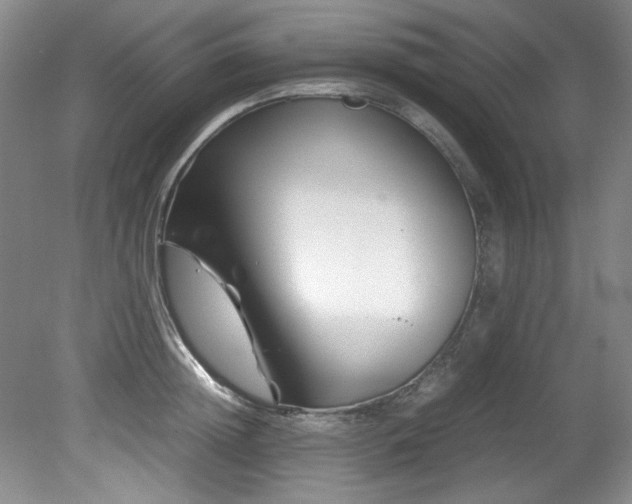 X0000082170852200701191305