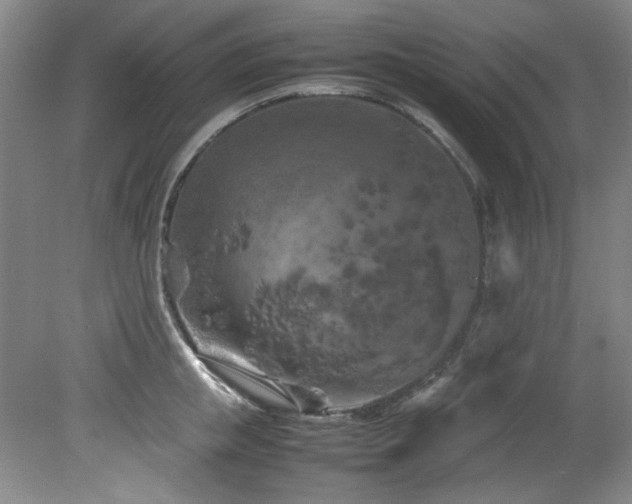 X0000082170853200701191305