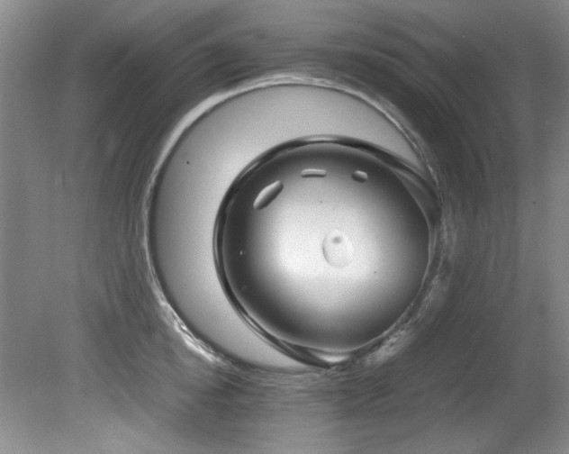 X0000082170854200701191305