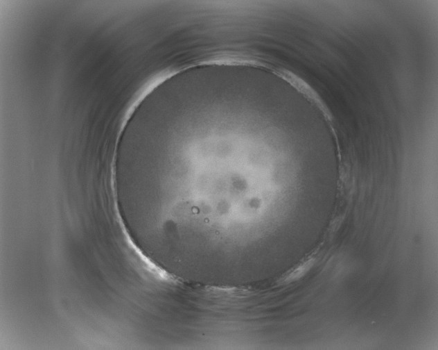 X0000082170855200701191305