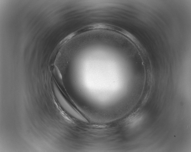 X0000082170857200701191305