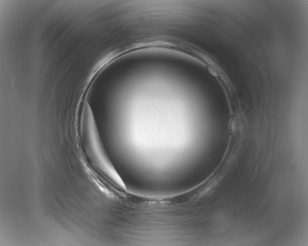 X0000082170858200701191306