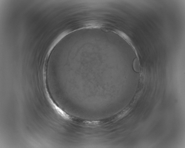 X0000082170859200701191306