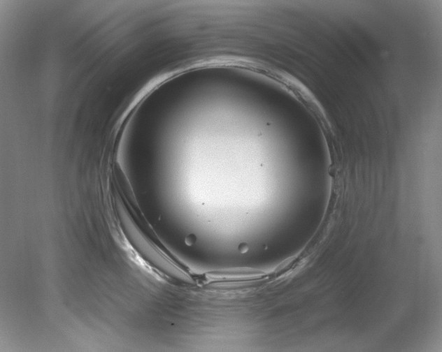 X0000082170860200701191306