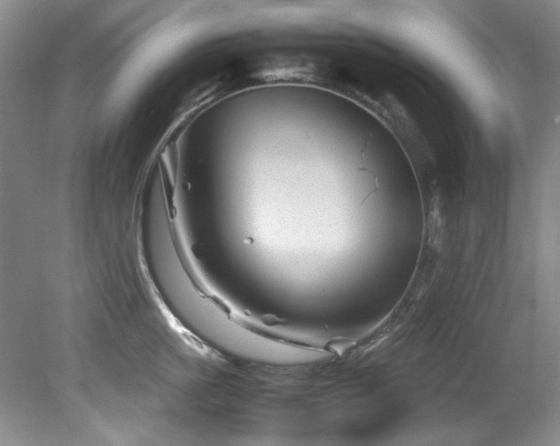 X0000082170861200701191306