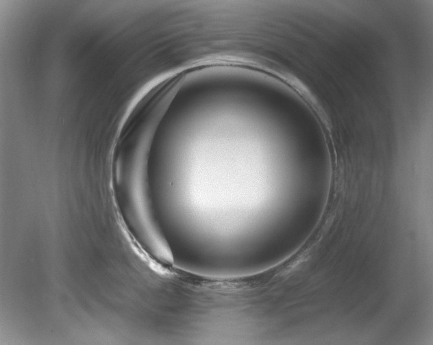 X0000082170862200701191306