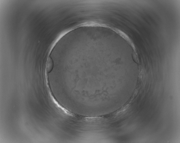 X0000082170863200701191306