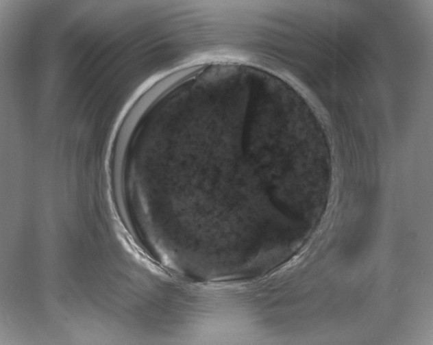 X0000082170864200701191306