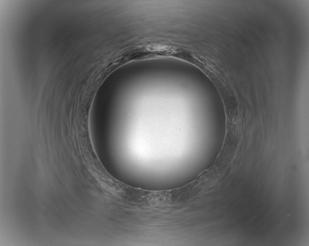 X0000082170865200701191305