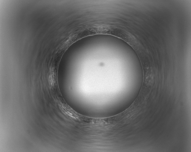 X0000082170866200701191305