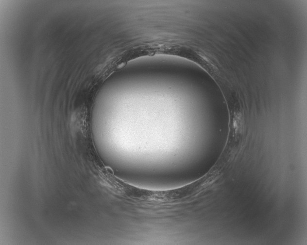 X0000082170867200701191305