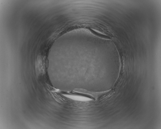 X0000082170868200701191305