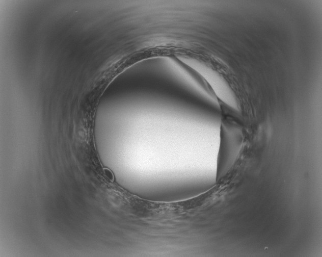 X0000082170869200701191305