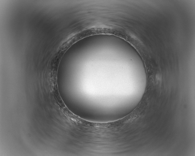 X0000082170870200701191305