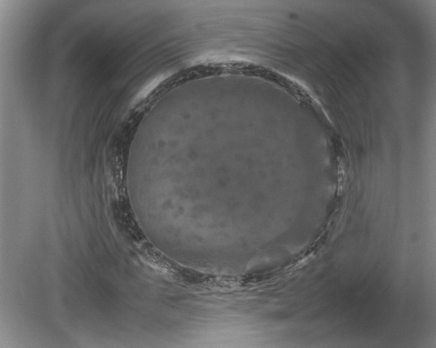 X0000082170871200701191305