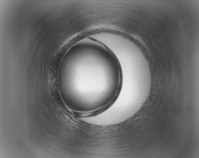 X0000082170872200701191305