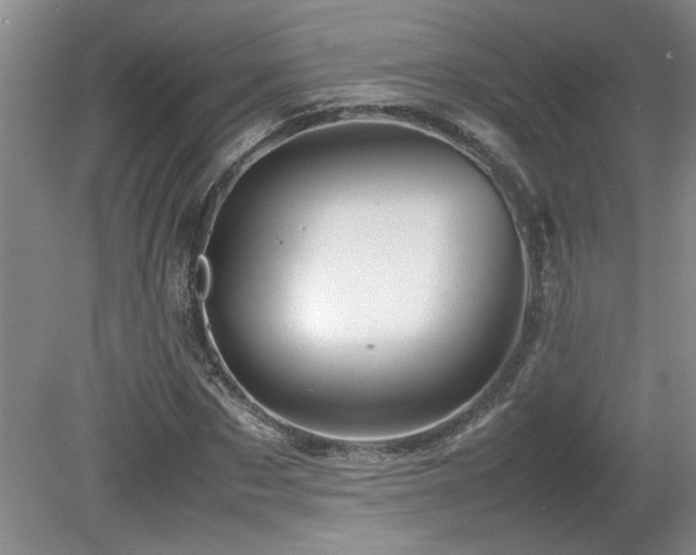 X0000082170873200701191305