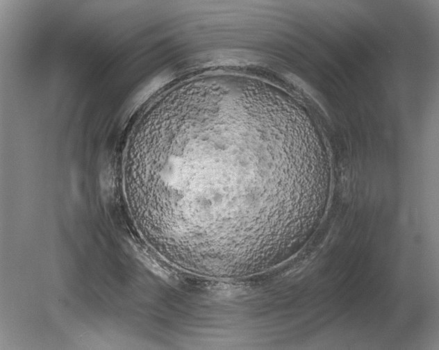 X0000082170874200701191305
