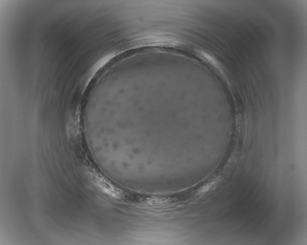 X0000082170875200701191305