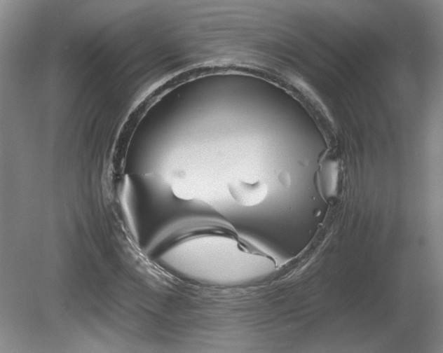 X0000082170876200701191305