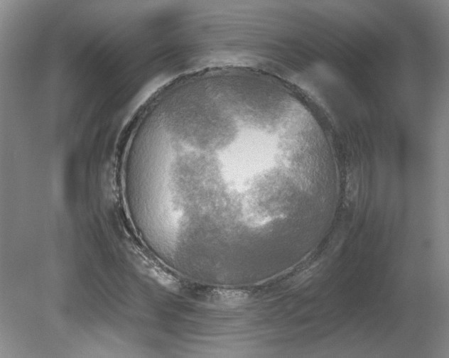 X0000082170878200701191305