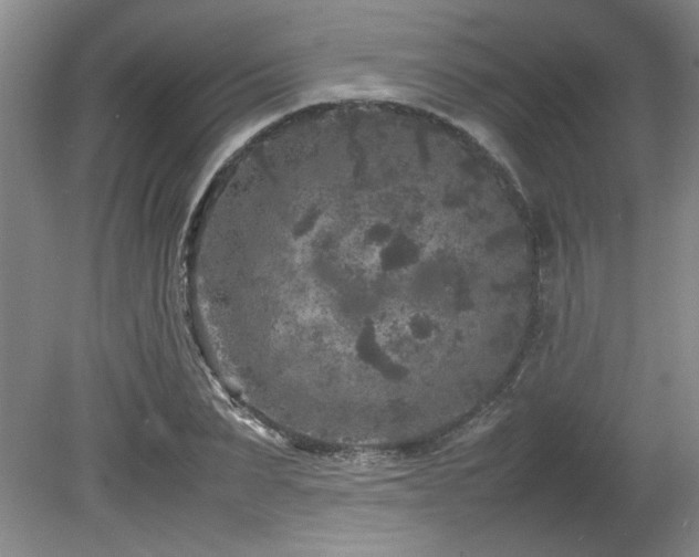 X0000082170879200701191305