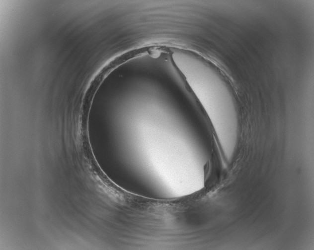 X0000082170880200701191305