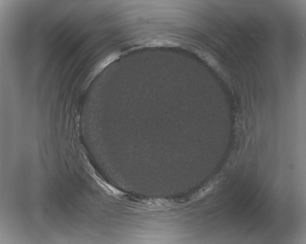 X0000082170881200701191305