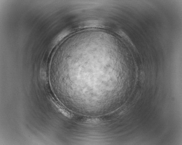 X0000082170882200701191305