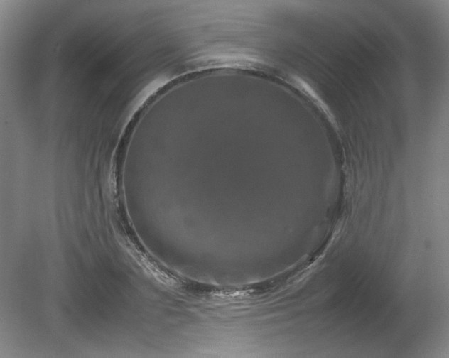 X0000082170883200701191304