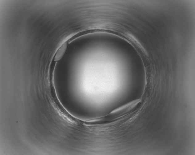 X0000082170884200701191304