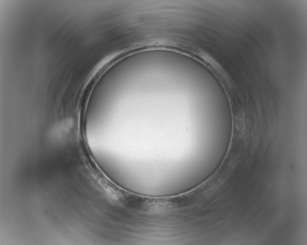 X0000082170886200701191304