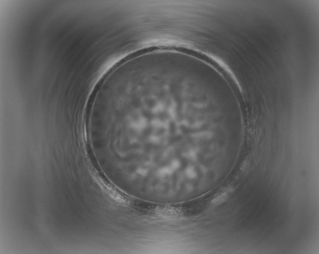 X0000082170887200701191304