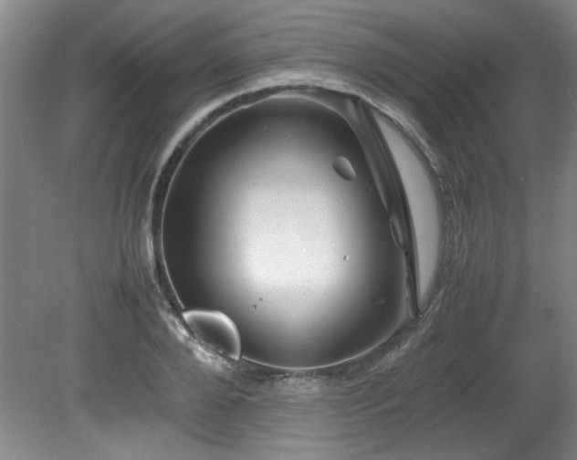 X0000082170888200701191304