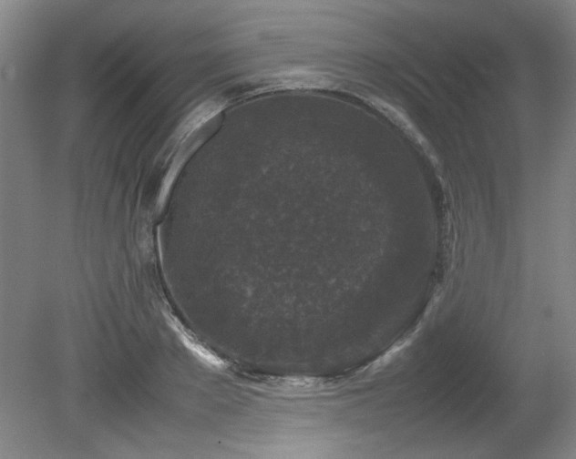 X0000082170889200701191304