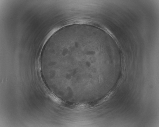 X0000082170891200701191304